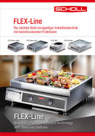 FLEX Wok 5 Induktions-Wok 5,0 kW SCHOLL Z0521 Nachfolgemodell von Z0108