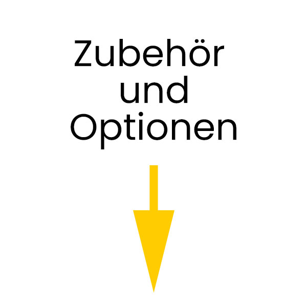 4 Zwllingslenkrollen aus CNS